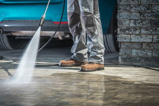 Best Pre-Holiday Cleaning  in Fort Denaud, FL