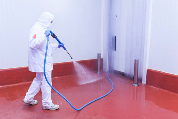 Best Building Exterior Washing  in Fort Denaud, FL